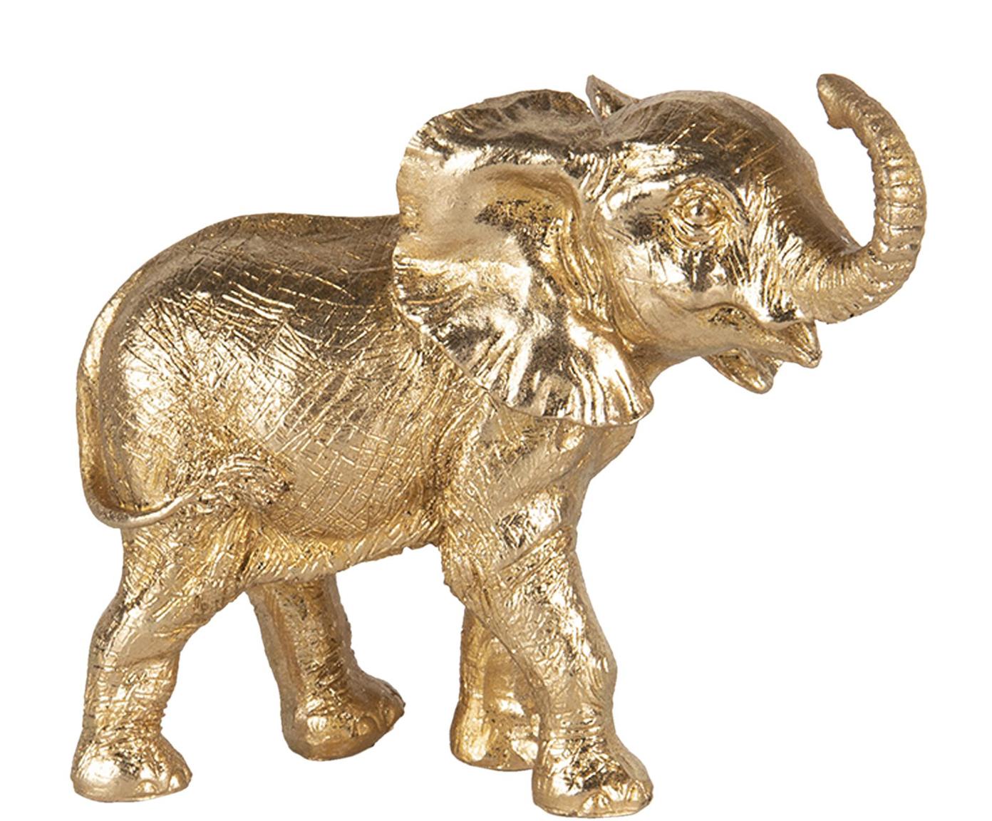 Slon zlatý